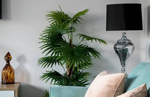 Kensington Apartamento | 78 m² Apartamento ∙ 2 habitaciones ∙ 5 huéspedes