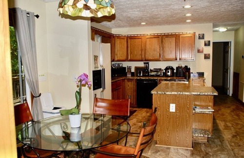 Brevard Cabina | 8 acres de privacidad, arroyo y cascada, mascotas Dupont ok