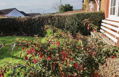 Acrefair Cabaña | 8 New Houses