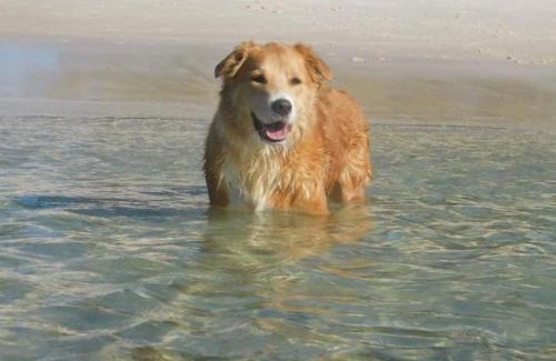 Anna Bay Casa | 8 Ocean Avenue - Pet Friendly, Wi-Fi, views and Aircon