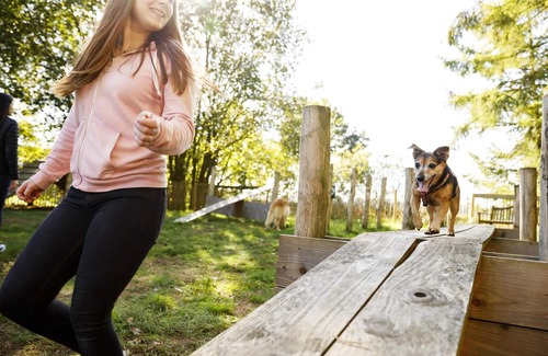 Dwergte Casa | 8-person dog bungalow in the holiday park Landal Dwergter Sand