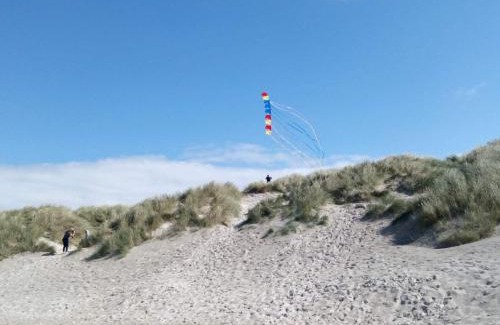 Jegum Casa | 8 person holiday home in Oksbøl-By Traum