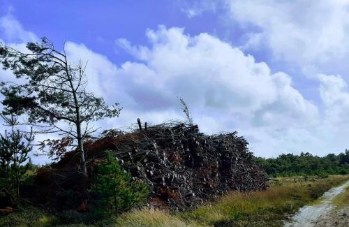 Jegum Casa | 8 person holiday home in Oksbøl-By Traum