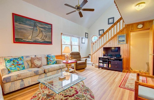 Salvo Casa | 8065 - The Surfing Kitty