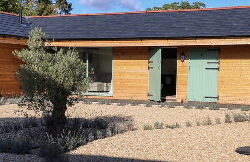 Aldermaston Wharf Cabaña | 90 m² Casa rural ∙ 1 habitación ∙ 2 personas