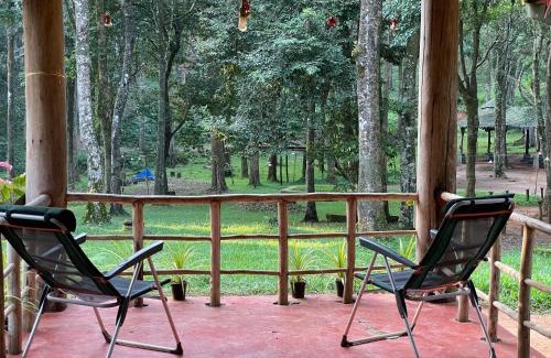 Lakkidi Complejo | 900 Woods Wayanad Eco Resort - A Sprawling Jungle Stay near Glass Bridge