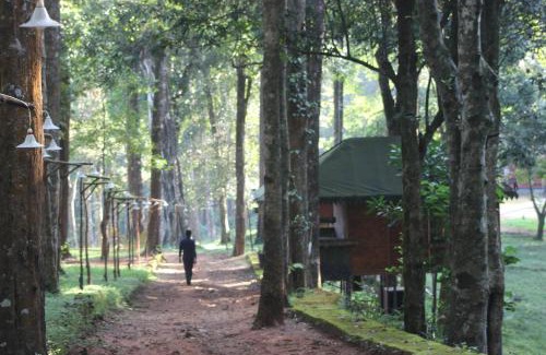 Lakkidi Complejo | 900 Woods Wayanad Eco Resort - A Sprawling Jungle Stay near Glass Bridge