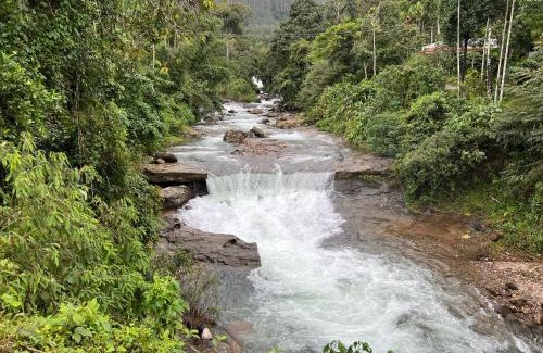 Lakkidi Complejo | 900 Woods Wayanad Eco Resort - A Sprawling Jungle Stay near Glass Bridge