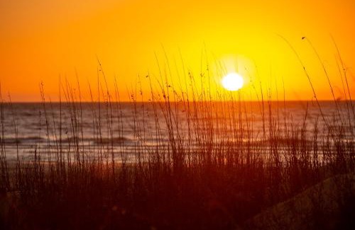 Harbour Town Casa | 910 Cutter Court at The Sea Pines Resort