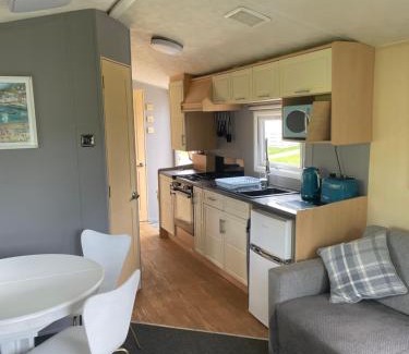 Newquay Otro | 95 Newquay bay Resort Dog friendly