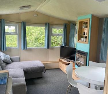 Newquay Otro | 95 Newquay bay Resort Dog friendly