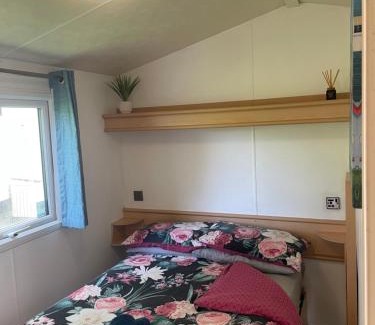 Newquay Otro | 95 Newquay bay Resort Dog friendly