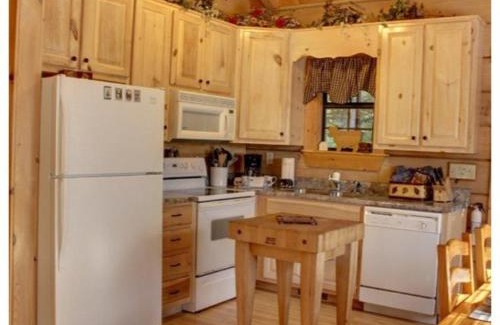 Mineral Bluff Casa | A Bear Pause