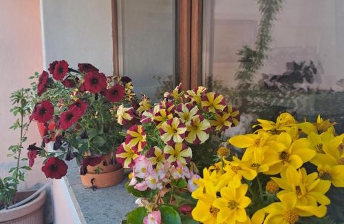 Campagnano di Roma Casa | A casa di Matisse