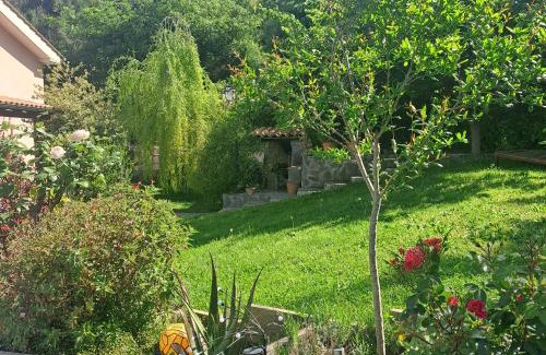 Campagnano di Roma Casa | A casa di Matisse