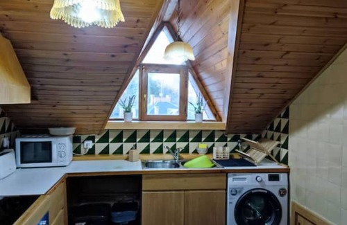 Sort Apartamento | ACOLLIDOR ÀTIC-DÚPLEX CÈNTRIC amb VISTES - El Niuet de Sort