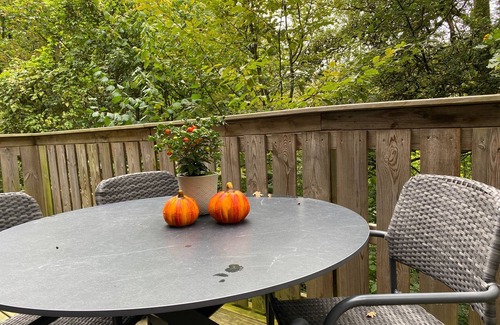 Septon Chalet De Esquí | A chalet on a hill in the forest, with a beautiful view of the Ardennes.
