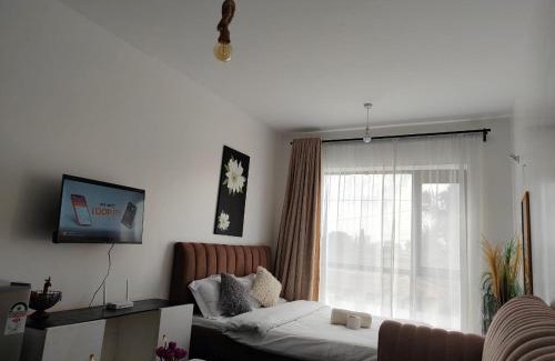 Embakasi Apartamento | A Cosy Modern Affordable Furnished Studio Located in Tsavo Fedha