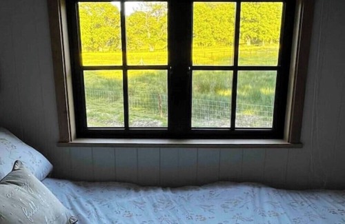Milland Cabina | A Cosy Shepherd's Hut in Heart of the South Downs National Park