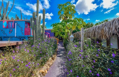 Oranjestad Cama Y Desayuno | A Creative Boho Oasis in Aruba — Long-Stay Haven & Yoga Venue