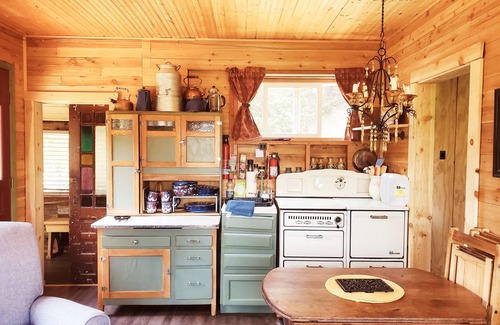 Hartsel Cabina | A Distant Paradise, 1-bedroom cabin in Fairplay