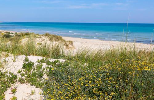 Torre Rinalda Apartamento | A due Passi dal Mare by BarbarHouse