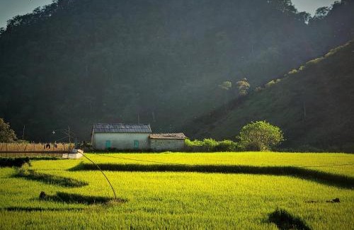 Mai Chau Apartamento | A Duong Local Guide Homestay