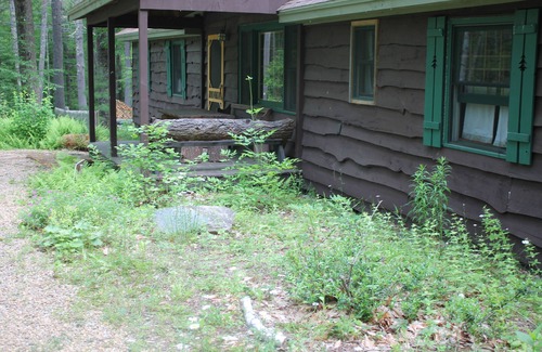 Pittsfield Cabina | A Family Lodge en el bosque con acceso al lago