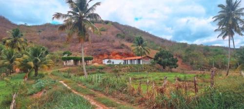 Belem Casa | A few kilometers from banana plantations