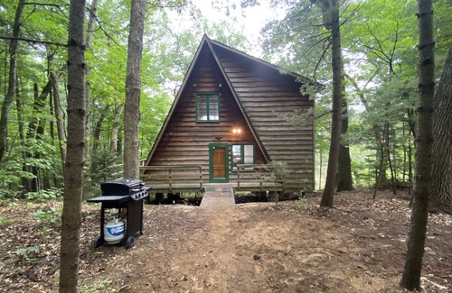 Allegan Casa | A-frame cabin nestled in forest, stunning lake view, perfect serenity.