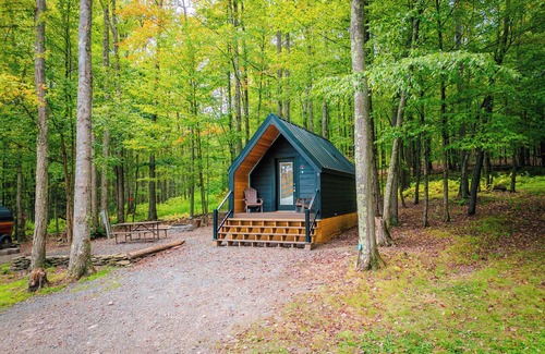 Wellsboro Cabina | A-frame 1 Summary: We
