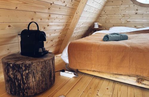 Jubbega Cabina | A-Frame Vijverhuisje met uitzicht over de vijver