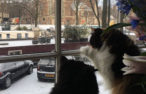Grachtengordel-West Apartamento | Una joya en Amsterdam, en Jordaan en el canal más popular del canal Prinsen