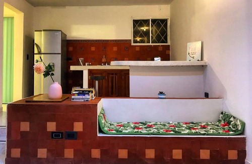 Mamatoco Casa | Un oasis verde dentro de la ciudad.