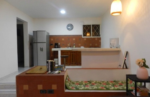 Mamatoco Casa | Un oasis verde dentro de la ciudad.
