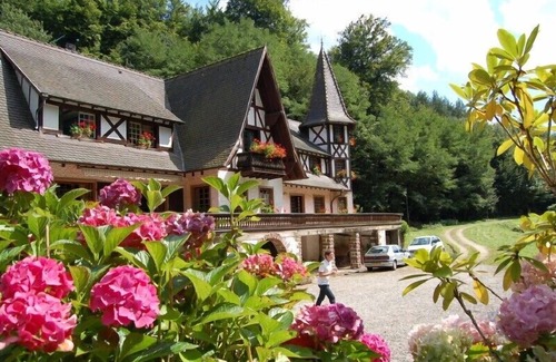Lohr Casa | El molino sagrado de La Petite Pierre, gran cabaña para 12 personas.