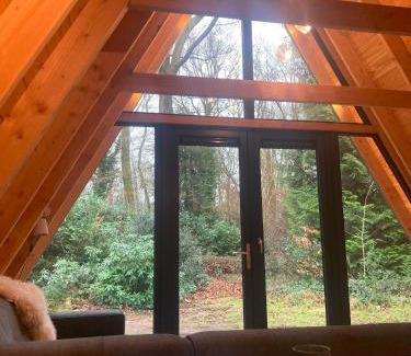 Norg Casa | A-huis in het bos van Drenthe
