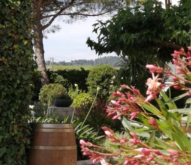 Montady Casa | A l'Orée Des Vignes