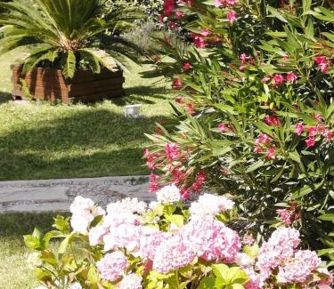 Montady Casa | A l'Orée Des Vignes
