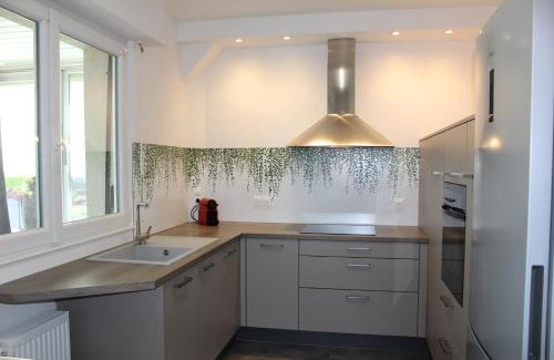 Wangen Apartamento | A L'orée des vignes, superbe logement de 80 m2