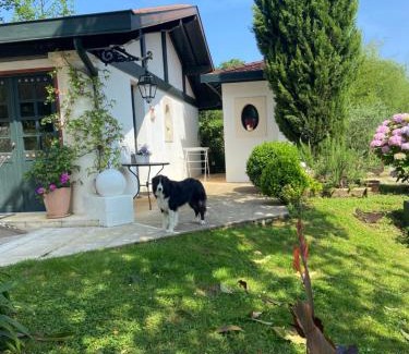 Cambo-les-Bains Apartamento | A la Colline de la bergerie