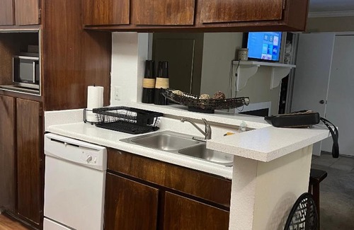 Astrodome Apartamento | A Laid Back 2 BR 2 BT Patio Near NRG Arena Theatre Medical Center Rental Car Available