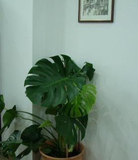 Palermo Apartamento | A Me Casa