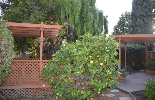 Ardenwood Casa | A personal oasis! A single story home in a resort with spacious rooms and yard !