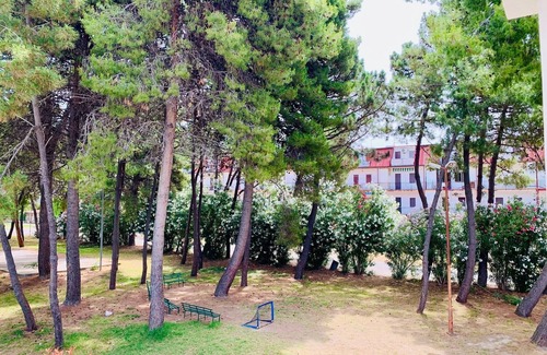 Nocera Scalo Casa | A pine forest by the sea