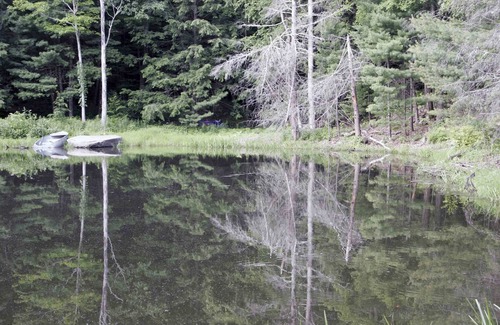 Woodstock Cabina | 'A Place in the Woods' - Cabaña en el Lago de Chloe en 20 acres cerca de Woodstock, Nueva York