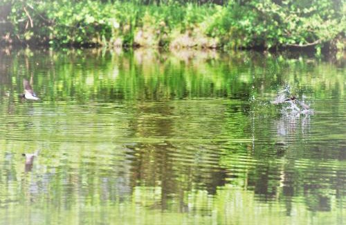 Renac Casa | A Private Lakeside Retreat-Do You Love Nature