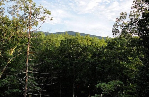 Stanardsville Cabina | Un rústico-chic Cabin Hideaway en la puerta del Parque Nacional Shenandoah