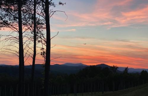 Mount Airy Apartamento | A Suite with a View + Wine