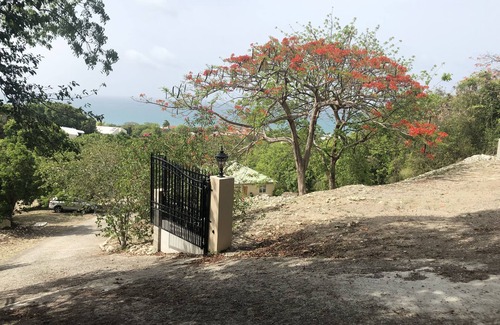 Cedar Grove Cabaña | A Tropical Getaway!